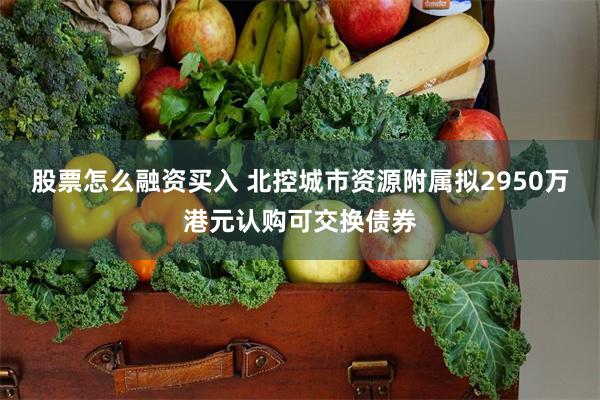 股票怎么融资买入 北控城市资源附属拟2950万港元认购可交换债券