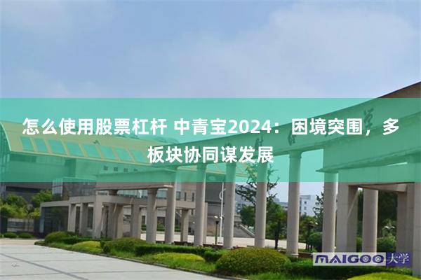 怎么使用股票杠杆 中青宝2024：困境突围，多板块协同谋发展