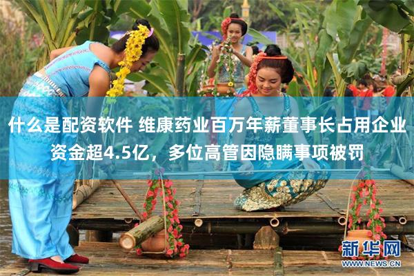 什么是配资软件 维康药业百万年薪董事长占用企业资金超4.5亿，多位高管因隐瞒事项被罚