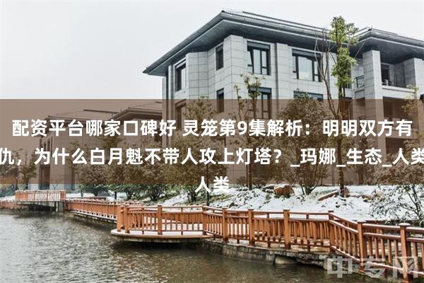 配资平台哪家口碑好 灵笼第9集解析：明明双方有仇，为什么白月魁不带人攻上灯塔？_玛娜_生态_人类