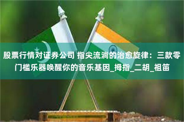 股票行情对证券公司 指尖流淌的治愈旋律：三款零门槛乐器唤醒你的音乐基因_拇指_二胡_祖笛