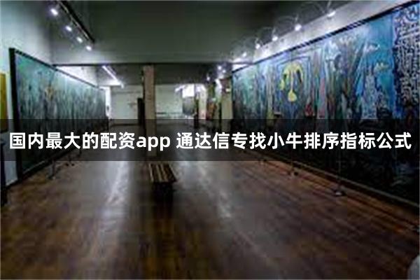 国内最大的配资app 通达信专找小牛排序指标公式