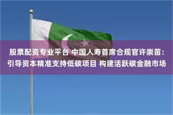 股票配资专业平台 中国人寿首席合规官许崇苗:引导资本精准支持低碳项目 构建活跃碳金融市场