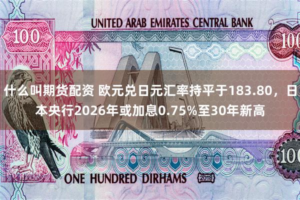 什么叫期货配资 欧元兑日元汇率持平于183.80，日本央行2026年或加息0.75%至30年新高
